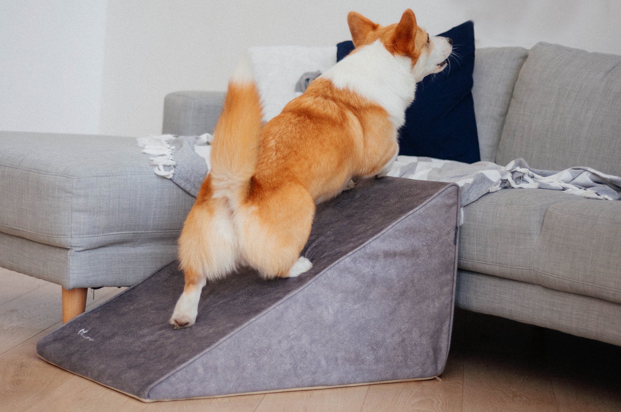 Dog Ramp for Sofa Ramps for Dachshunds Foam Dog Ramp for Etsy UK