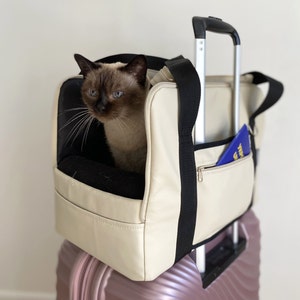 Op de afbeelding: Een crèmekleurige katten draagtas met zwarte randen en een ritsvak, bovenop een roze koffer. Een Siamees met blauwe ogen en een donkerbruin gezicht zit in de tas. Een blauw document is zichtbaar in de zak.