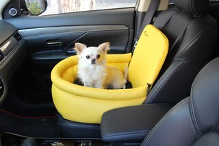 Trasportino Cane Auto Seggiolino Auto Per Cani, Console Centrale Per Cuccioli Seggiolino Pieghevole Cani