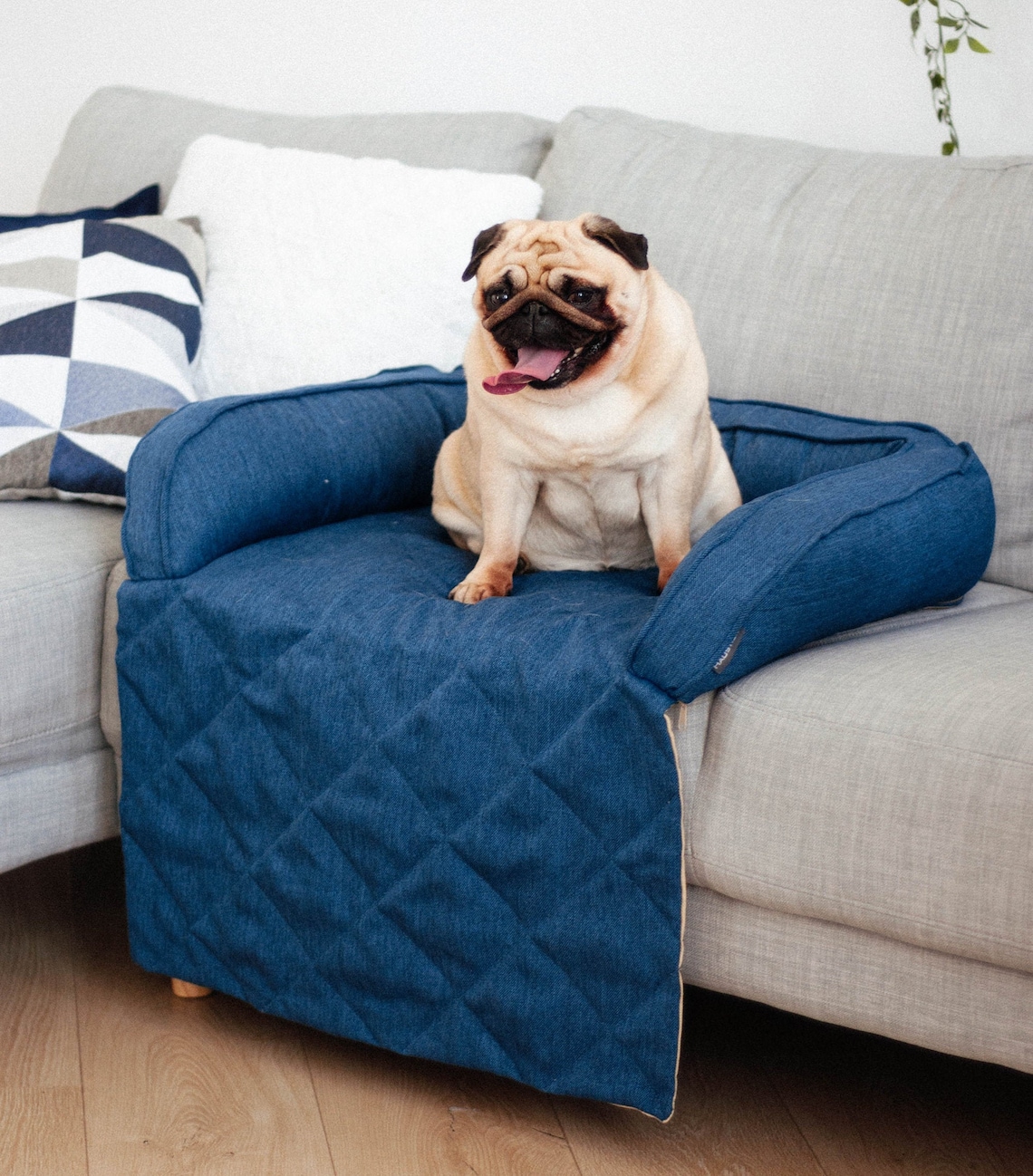Blue Dog Sofa Bed Pet Bed for Couch Cat Bed Washable Dog Etsy