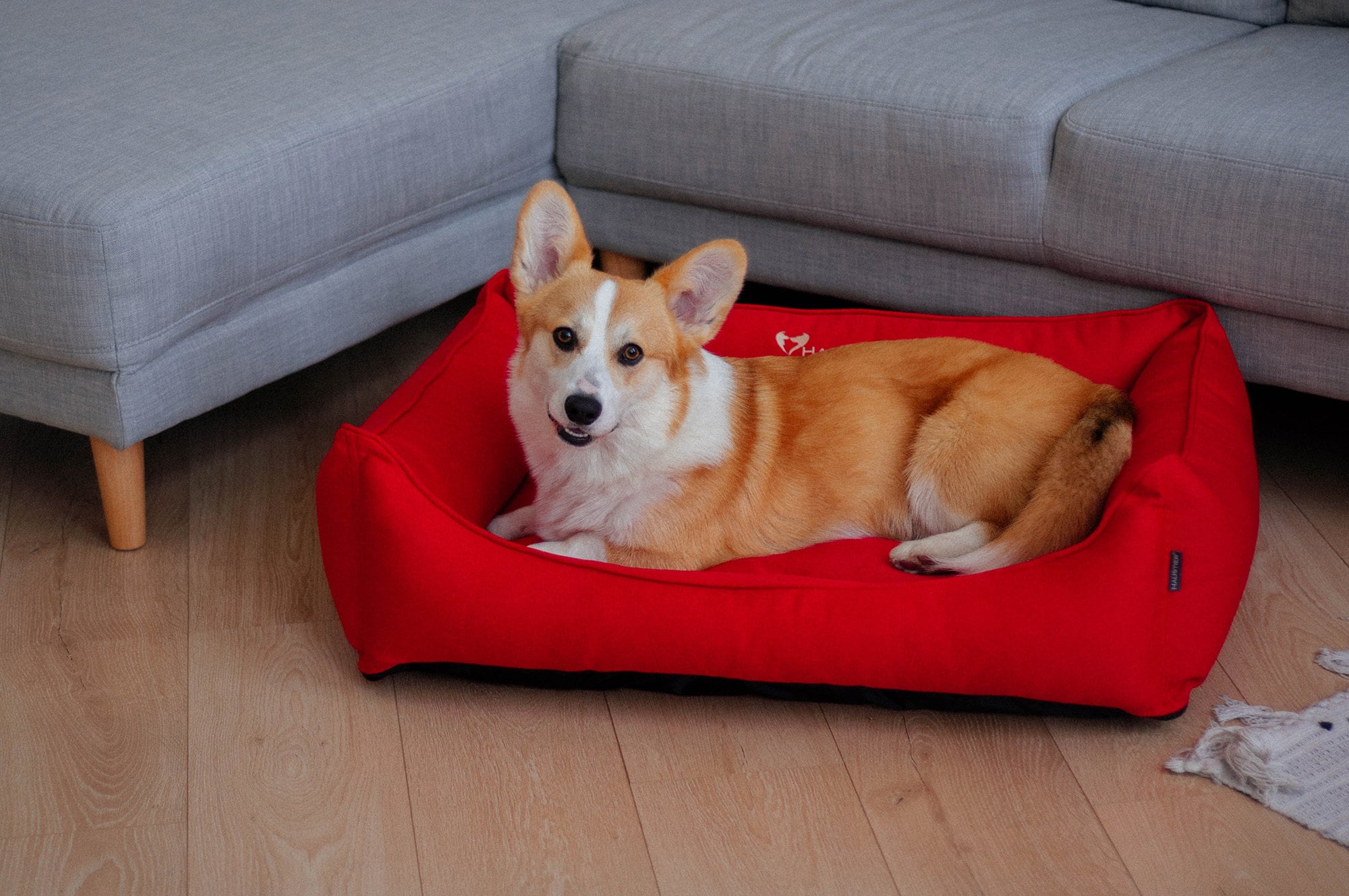 Red Dog Bed With Removable Cover Orthopedic Pet Bed Small Etsy