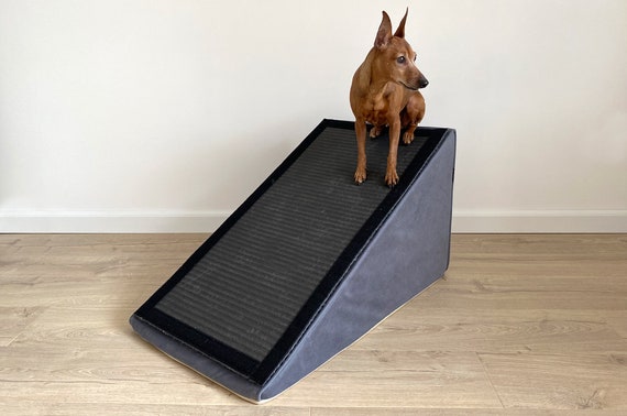 Rampe pour chien, rampe pour canapé ou lit - pour les grands petits chiens  et chats, 6 Rampe réglable en couche jusqu'à 200 Lb, 40 en long