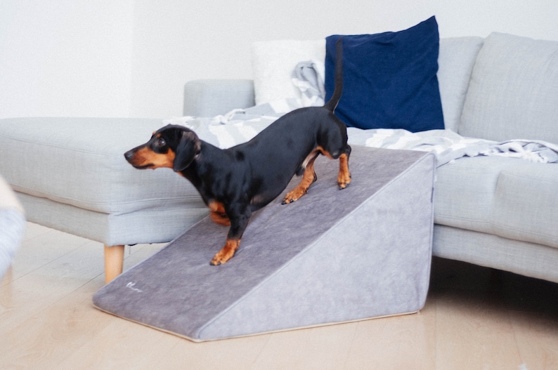 Dog Ramp for Sofa Ramps for Dachshunds Foam Dog Ramp for Etsy