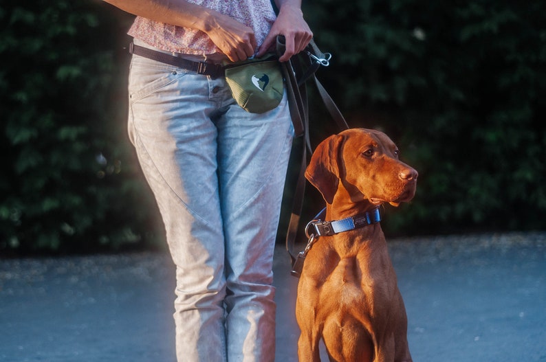 Dog Treat Bag Dog Training Treat Pouch Dog Treat Bum Bag Etsy