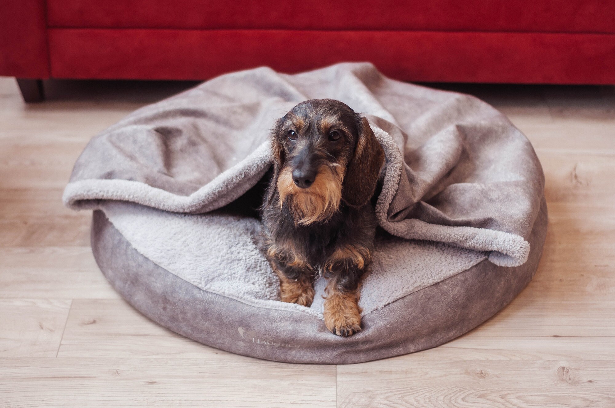 large hooded dog bed