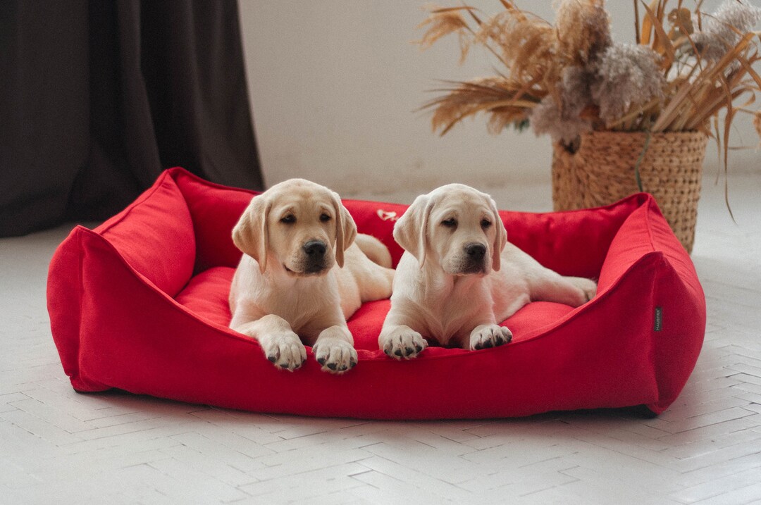 Red Dog Bed With Removable Cover Orthopedic Pet Bed Small, Medium
