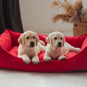 Red dog bed with removable cover |  Orthopedic pet bed | Small, Medium & Large dog bed | Comfortable Cat bed