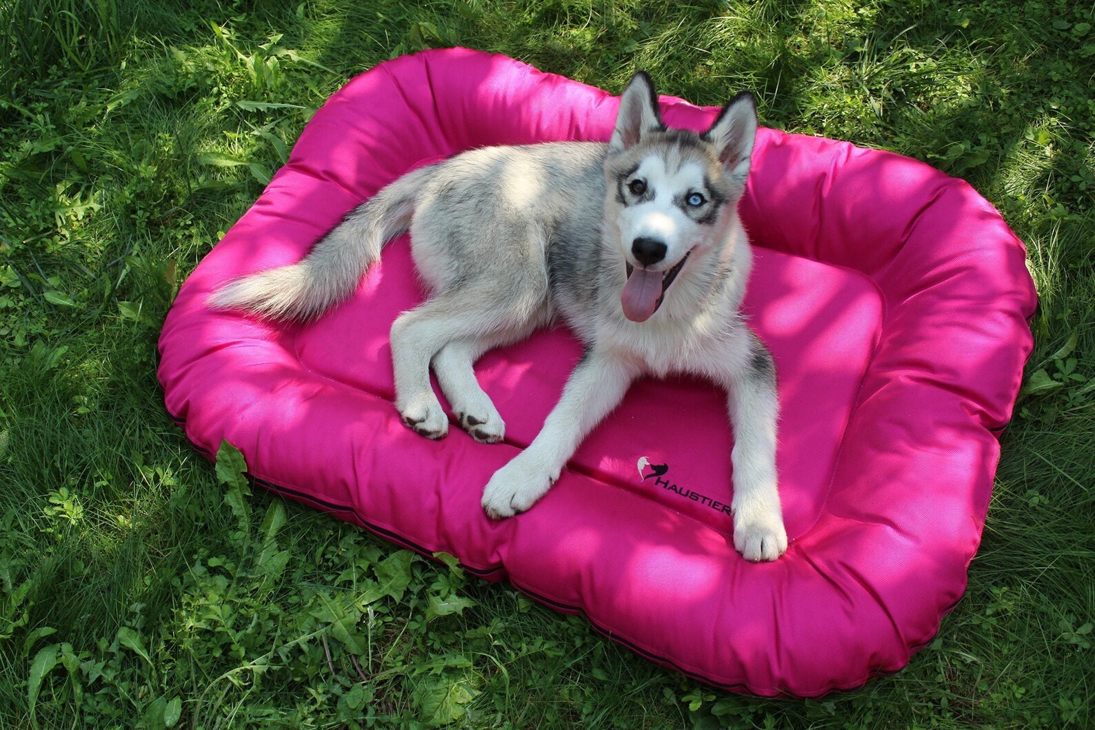 Large Dog Bed in Durable Waterproof Fabric Outdoor Dog Bed Etsy