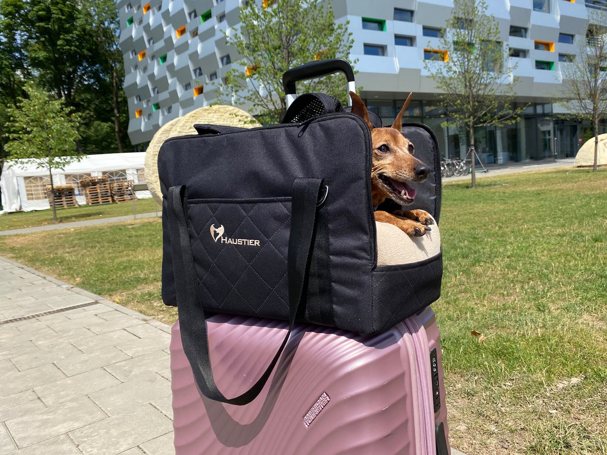 Black Pet Carrier Bag Waterproof Pet Airline Carrier Stylish Puppy Carry Bag Small Dog Carrier Dog Carrier Bag Cat Carrier Bag Etsy