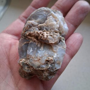 Puede incluir: Una piedra natural de forma irregular con una mezcla de tonos grises, blancos y marrones. La piedra tiene una superficie rugosa y texturizada con capas visibles y una sección porosa. El objeto se sostiene en una mano.