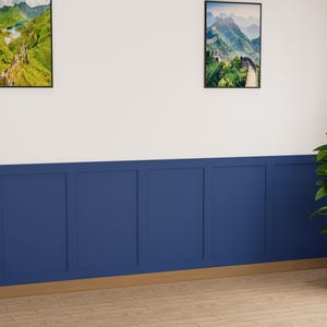 May include: A white wall with a blue wainscot and two framed landscape photos. A potted plant sits in the corner of the room.