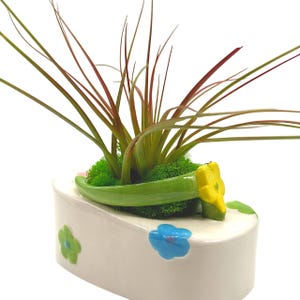 May include: A white ceramic planter shaped like a flip-flop with green, blue, and yellow flowers painted on it. A green air plant is growing in the planter.