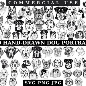 Filhotes e cães Clipart Svg Png Bundle, Desenhado à mão, Raças pequenas, médias e grandes, PNG digital, Terrier Labrador, Animais de estimação fofos, Bulldog Retriever