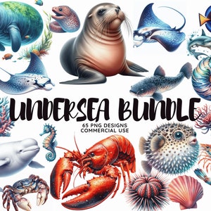 Bundel onderwater zee illustraties, zeedieren png, transparante png-ontwerpen, decoratieve afbeeldingen, digitale ontwerpen voor commercieel gebruik