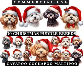 Watercolor Christmas Dog Breeds Clipart Bundle (PNG)