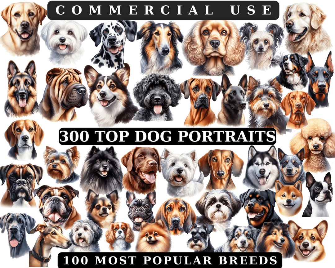 Dog Breeds Clipart Bundle: Watercolor Puppy Portraits (PNG, SVG, JPG ...