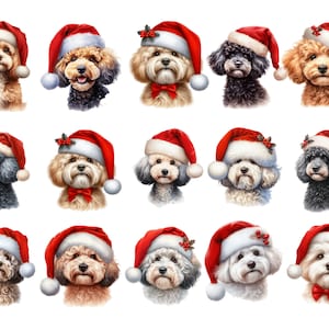 Acuarela Navidad Cavapoo Maltipoo Cockapoo Clipart, PNG Archivo de descarga instantánea, Diseño digital para elaboración, Arte imprimible Uso comercial