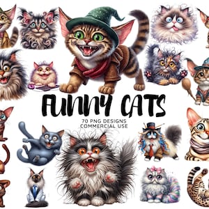 Fun chat Png, clipart aquarelle animal drôle fou Clipart Bundle, drôle de chat Png T shirt PNG Mug PNG Funny Emu png Art mural png Animal png