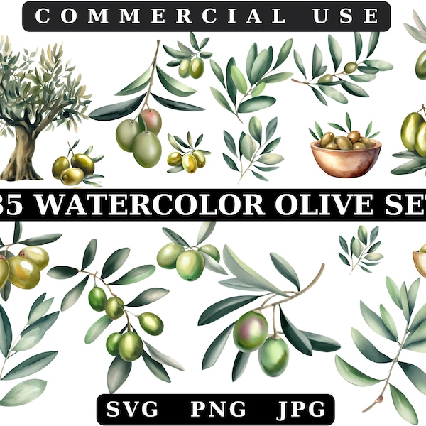 Olive Garden Watercolor Graphic Elements,Olive Branch Clipart,Watercolor Olives,Olive Clipart,Olive Bowl Clipart,Watercolor Olive Leaf