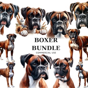 Boxer clipart bundel, aquarel hondenras clipart JPG, boxer sublimatie ontwerpen, hond met bloemen prints, hondenras digitale afbeeldingen cadeau