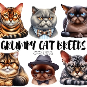 Races de chats grincheux, Ensemble de cliparts chats insolites mignons et drôles, Images de haute qualité avec arrière-plans, Usage commercial, Fabrication de cartes, Créations en papier