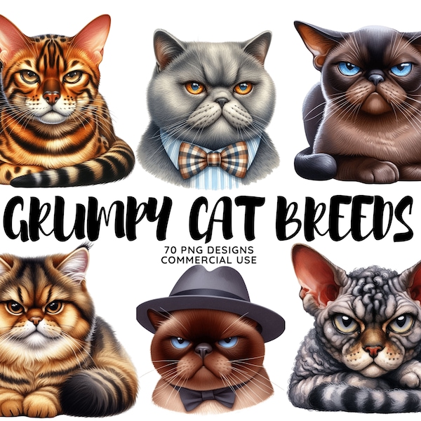 Cute, Funny Grumpy Quirky Cat Clipart Bundle, High Quality 300DPI Images With Backgrounds,Commercial Use, Card Making, Paper Crafting