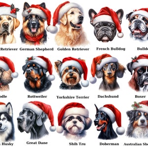 Pacchetto di clipart di cani di Natale ad acquerello, immagini PNG di razze di cani con cappello di Babbo Natale, disegni di sublimazione per cani per la stampa su richiesta, animali domestici di Natale
