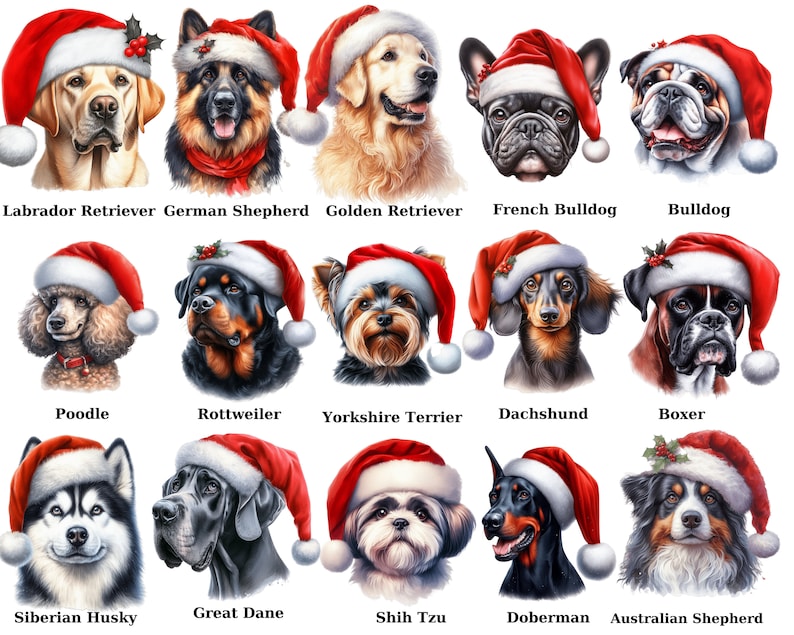 Watercolor Christmas Dogs Clipart Bundle: Dog Breeds PNG (digital Paper ...