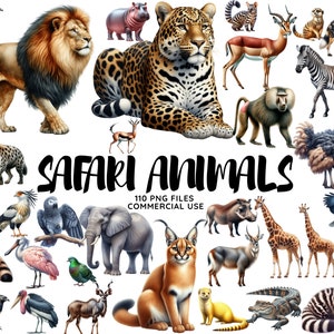 Clipart animaux de safari aquarelle, png safari dans la jungle, illustration de la faune bébé safari, téléchargement immédiat éléphant zèbre girafe tigre lion