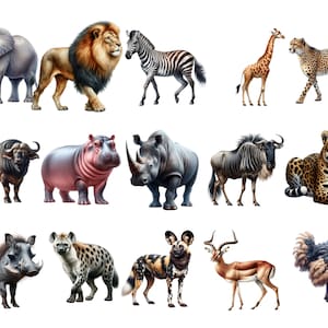Clipart animali Safari acquerello, Clipart famiglia Safari, Cuccioli Safari, Animali Safari a grandezza naturale, Clipart Animali della giungla, Safari PNG