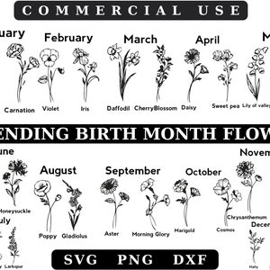 Mois de naissance Fleur Zodiaque svg Bundle - Astrologie Svg - Fleur de naissance Svg Png Clipart - Bélier Gémeaux Scorpion Verseau Vierge Lion Cancer Svg
