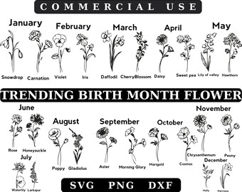 Paquete SVG de flores del zodiaco con mes de nacimiento: Clipart astrológico (descarga digital)