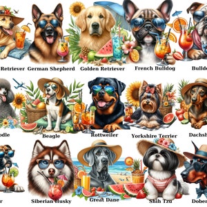 Acuarela verano perros clipart paquete gafas de sol cóctel PNG playa clipart día soleado descarga instantánea artesanías de papel diario basura scrapbooking