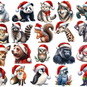 Aquarell Weihnachten Tiere Clipart: Urlaub PNG (Digital Download)