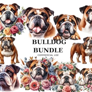 Bulldog Watercolor Clipart Bundle High-Quality PNG Files Sublimation, Digital Planner, Junk journal, Gift Digital Download Commercial Use