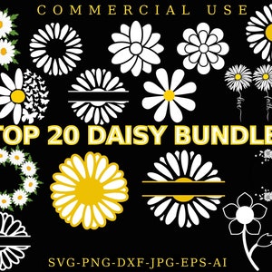 DAISY SVG BUNDLE, Daisy Flower Svg, Spring Svg, Daisy Silhouette, Daisy, Daisy clipart, Daisy cut file, Daisies, Flowers Svg, Daisy, Svg,Png