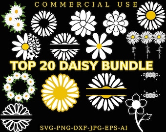 DAISY SVG BUNDLE, Daisy Flower Svg, Spring Svg, Daisy Silhouette, Daisy, Daisy clipart, Daisy cut file, Daisies, Flowers Svg, Daisy, Svg, Png