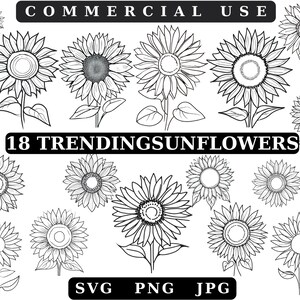 Pacote SVG de girassol, Pacote PNG de girassol, Clipart de girassol, Arquivos de corte SVG de girassol para Cricut, Svg de girassol angustiado, Vetor de flor de sol