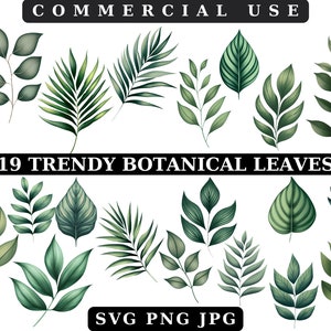 Foglie in formato SVG, Foglia in formato Svg, Fascio di foglie in formato svg, Foglie di carta in formato svg per Cricut e Silhouette, Verde in formato Svg, Png botanico, Foglie tropicali in formato Svg, Palma