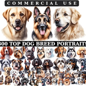 100 Hunderassen Clipart Bundle, Haustier, Deutscher Schäferhund, Französische Bulldogge, Labrador, Retriever, Pudel, Terrier, kommerzielle Nutzung, Sofortiger Download