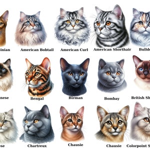 Katze Portrait Aquarell Clipart Bundle, festliche Kitty Bilder, gemütliche Urlaub Kitties Grafiken, sofortiger digitaler Download, kommerzielle Nutzung