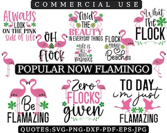 Flamingo Quotes SVG Bundle: Clipart Designs for Cricut, Glowforge (Digital Download)
