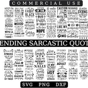 Sarkastisches Svg - Lustiges Svg - Beliebtes Jetzt Svg - Sarkastische Png - Sarkastische Tasse - Svg Dateien für Cricut - Sassy Svg - Lustiges Shirt Svg - Sarkasmus