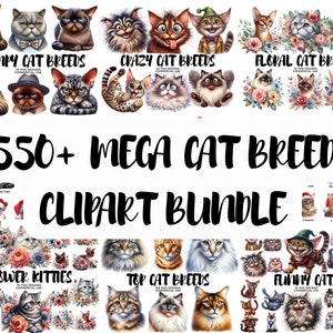 MEGA KATZEN BREEDS Clipart Bundle, Aquarell, Kätzchen-Liebhaber Transparent, digitales Design für kommerzielle Nutzung, Scrapbooking, Diy, digitaler Download