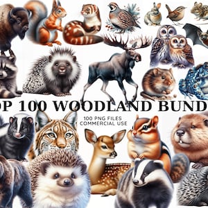 Clipart de animais da floresta - criaturas fofas da floresta, estilo de conto de fadas mágico, adesivos adoráveis para animais de estimação, PNG, download digital instantâneo, comercial