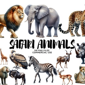 Animales Safari, Acuarela Safari Animales PNG, Animales africanos, Vivero Clipart Selva Bebés Elefante León Jirafa Cebra Guepardo Búfalo