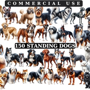 Hund Aquarell Clipart, ganzer Körper Hündchen Rassen Clipart Bundle, Hündchen Clipart PNG Niedliche Illustration, Haustiere Clipart DIY, kommerzielle Nutzung