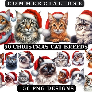 Bundle de cliparts aquarelle de chat de Noël, images de chat festif, graphiques de Noël de chatons de vacances confortables, téléchargement numérique instantané, usage Commercial