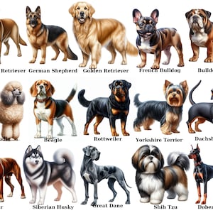 Aquarelle chiot debout Clipart, ensemble de cliparts races de chiens, chiot chien Clipart PNG Illustration mignonne, clipart animaux de compagnie bricolage, usage commercial