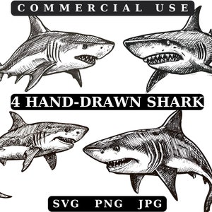 Shark Svg Bundle, Hand Drawn Shark Silhouettes Svg, Hammerhead Shark Svg, Shark Png, White Shark, Hungry Shark, Baby Shark Svg Shark Fin